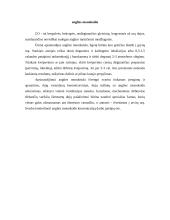 Pirmoji pagalba 6 puslapis