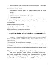 Pirmoji medicinos pagalba ir nukentėjusiojo būklės įvertinimas 3 puslapis