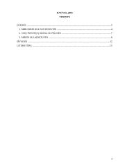 Pomirtinio gyvenimo samprata senoje lietuvių pasaulėžiūroje 2 puslapis