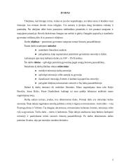 Pomirtinio gyvenimo samprata senoje lietuvių pasaulėžiūroje 3 puslapis