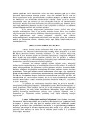 Požiūris į moteris ankstyvajam budizme 5 puslapis