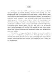 Išsamus darbas apie Prancūziją 2 puslapis