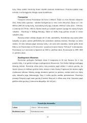 Išsamus darbas apie Prancūziją 11 puslapis