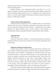 Išsamus darbas apie Prancūziją 15 puslapis