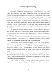 Išsamus darbas apie Prancūziją 3 puslapis