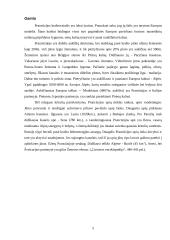 Išsamus darbas apie Prancūziją 5 puslapis