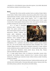 Išsamus darbas apie Prancūziją 7 puslapis