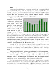 Išsamus darbas apie Prancūziją 10 puslapis