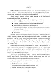 Profesinių veiksnių poveikis odai 3 puslapis