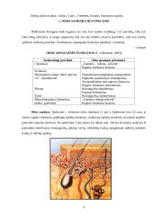Profesinių veiksnių poveikis odai 4 puslapis