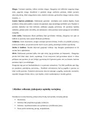 Psichikos ir elgesio sutrikimai vartojant opioidus 4 puslapis