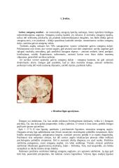 Psichikos pakitimai esant galvos smegenų navikams 3 puslapis