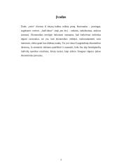 Racionalaus individo samprata 2 puslapis