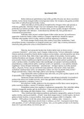 Rašto istorija 2 puslapis