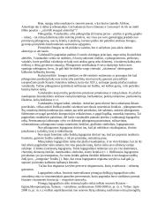 Rašto istorija 3 puslapis