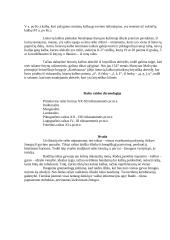 Rašto istorija 7 puslapis