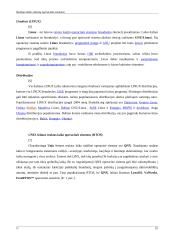 Realaus laiko sistemų operacinės sistemo 11 puslapis