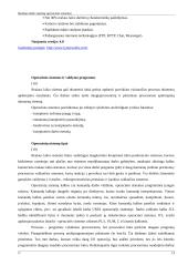 Realaus laiko sistemų operacinės sistemo 15 puslapis