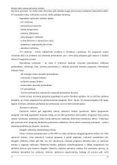 Realaus laiko sistemų operacinės sistemo 16 puslapis