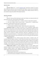 Realaus laiko sistemų operacinės sistemo 3 puslapis