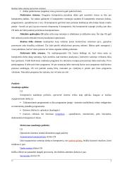 Realaus laiko sistemų operacinės sistemo 4 puslapis