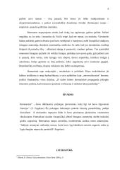 Renesansas. Renesanso žmogaus pasaulėjauta 6 puslapis