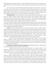 Renesanso ideologijos bruožai 2 puslapis
