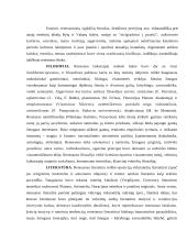 Renesanso laikotarpiai ir kultūra 2 puslapis