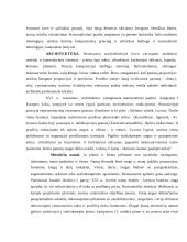 Renesanso laikotarpiai ir kultūra 3 puslapis