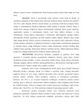 Renesanso laikotarpiai ir kultūra 4 puslapis