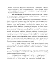 Renesanso laikotarpiai ir kultūra 5 puslapis