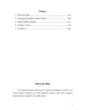 Riteriai, jų ordinai ir įžadai 2 puslapis