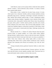 Riteriai, jų ordinai ir įžadai 3 puslapis