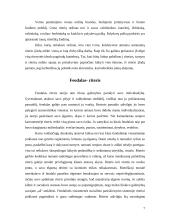 Riteriai, jų ordinai ir įžadai 7 puslapis