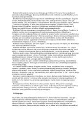 Robertas Šumanas 3 puslapis