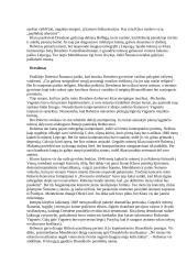 Robertas Šumanas 7 puslapis