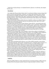 Robertas Šumanas 8 puslapis