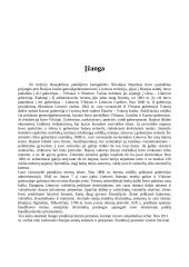 Rusijos politika 2 puslapis