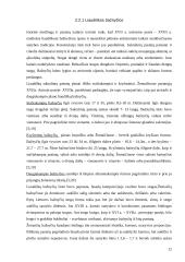 Sakralinis paveldas 12 puslapis