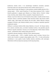 Sakralinis paveldas 15 puslapis