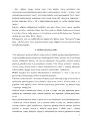 Sakralinis paveldas 7 puslapis