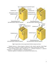 Sąsiuvinių susiuvimo mašinos 8 puslapis
