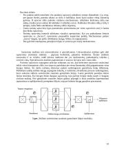 Sąsiuvinių susiuvimo mašinos 10 puslapis