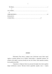 Savanos augalija ir gyvūnija 2 puslapis