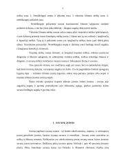 Savanos augalija ir gyvūnija 3 puslapis