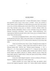 Savanos zonos 2 puslapis