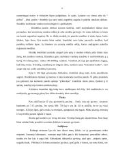 Savanos zonos 11 puslapis