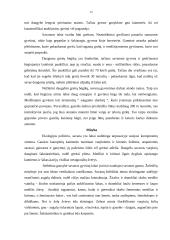 Savanos zonos 12 puslapis