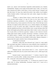 Savanos zonos 3 puslapis