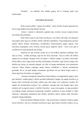 Savanos zonos 4 puslapis